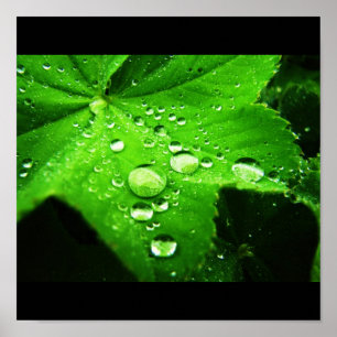 Leg de regen vast poster