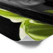 Leg het neer poster (Hoek)