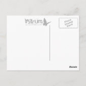 lege borst : anatomisch hart briefkaart (Achterkant)