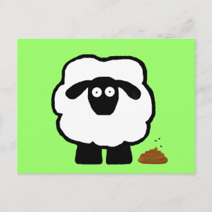 Lege Briefkaarten schapen
