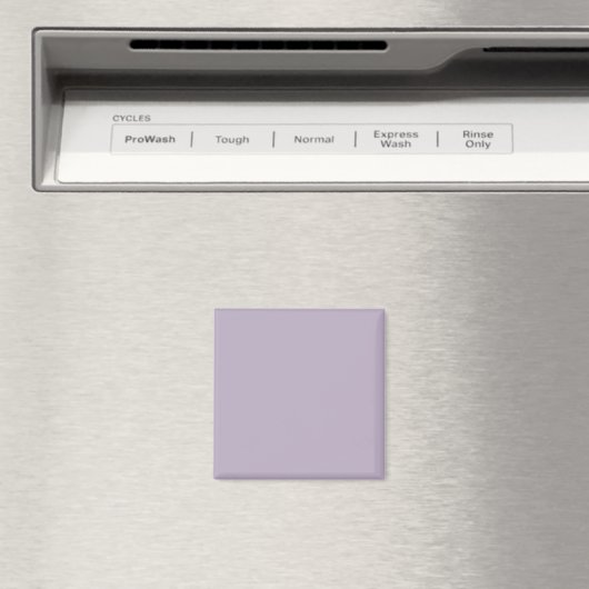 Lege Creëer Uw Eigen Papier Magneet (Insitu (Vaatwasser))