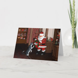 Lege Doos Voor Een Grijze Huiskat Feestdagen Kaart