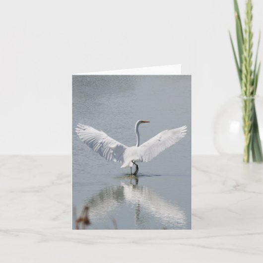 Lege Kaart, Aigrette Bedankkaart (Voorkant)