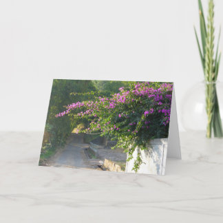 Lege Kaart - Bougainvillea op een muur