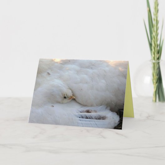 Lege Kaart met vers (Voorkant)