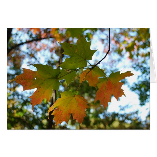 Lege lederen-kaart van aple (Voorkant Horizontaal)
