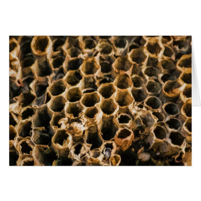 Lege Nest (Voorkant Horizontaal)