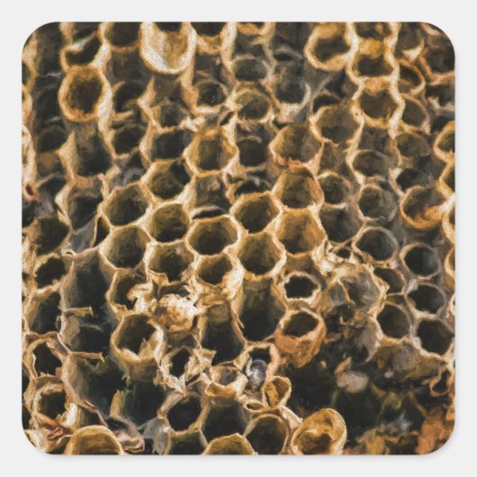 Lege Nest Vierkante Sticker (Voorkant)