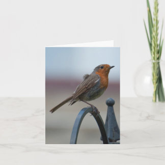 Lege Notecard met Britse Robin Kaart