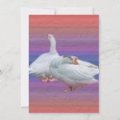 lege uitnodiging, alle doeleinden kaart (Achterkant)