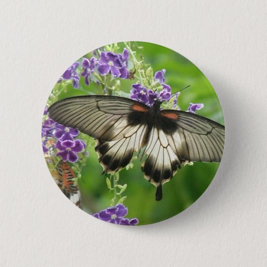 Legend of Butterflies Button (Voorkant)