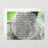 Legend of the Spanish Moss Briefkaart (Voorkant / Achterkant)