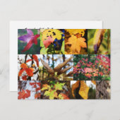 Legenda van de Herfst poëzie Card Briefkaart (Voorkant / Achterkant)