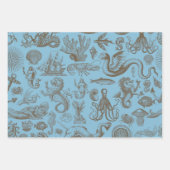 Légendes des feuilles de papier d'enveloppement de (Devant 3)