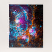 Leger Kreeftnevel Puzzel (Verticaal)