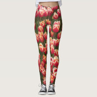 Leggen van rode en witte tulpen