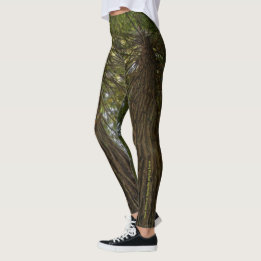 Legging de photo de forêt paisible avec lumière do