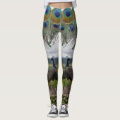 legging peacock (Devant)