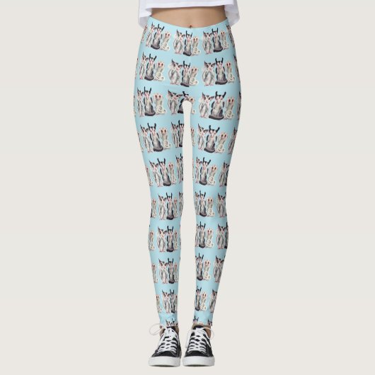 Leggings 3 guêtres sages de planeurs (Devant)