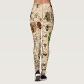 Leggings Abeille Insecte Bug Wasp Histoire naturelle abeill (Dos)