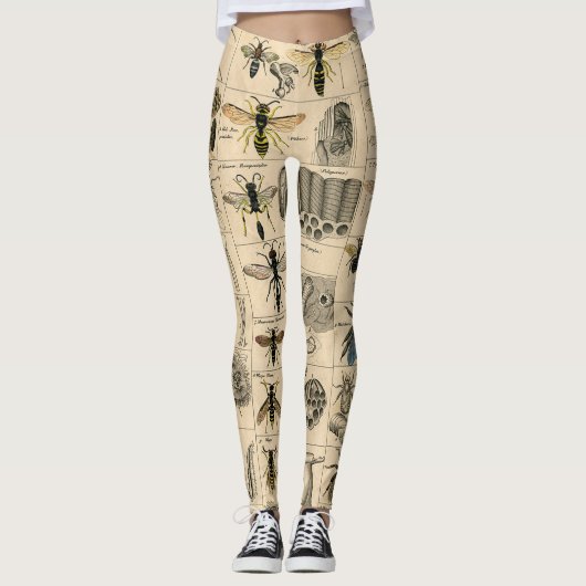 Leggings Abeille Insecte Bug Wasp Histoire naturelle abeill (Devant)