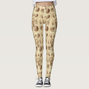 Leggings Antique Coquillages vintages