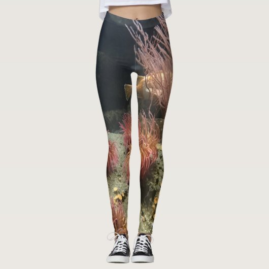 Leggings Aquarium (Devant)
