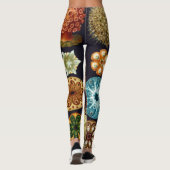 Leggings Ascidiae par Ernst Haeckel, Animaux Marins Anciens (Dos)