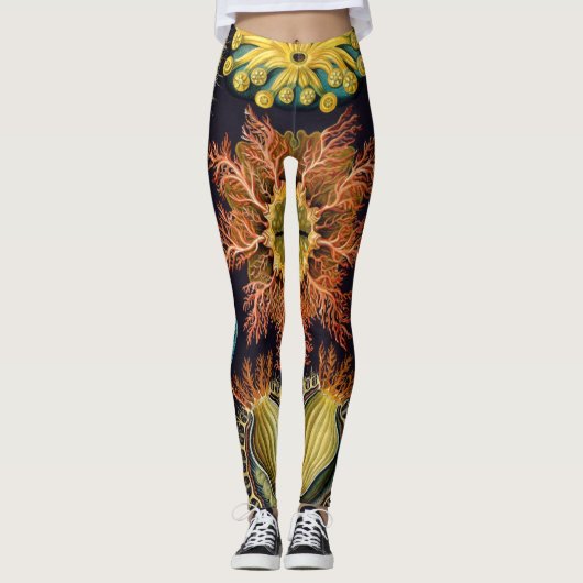 Leggings Ascidiae par Ernst Haeckel, Animaux Marins Anciens (Devant)