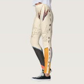 Leggings avoine, 1920 par Hilma af Klint (Gauche)
