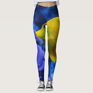 Leggings Bleu Et Jaune Deux Beaux Poissons