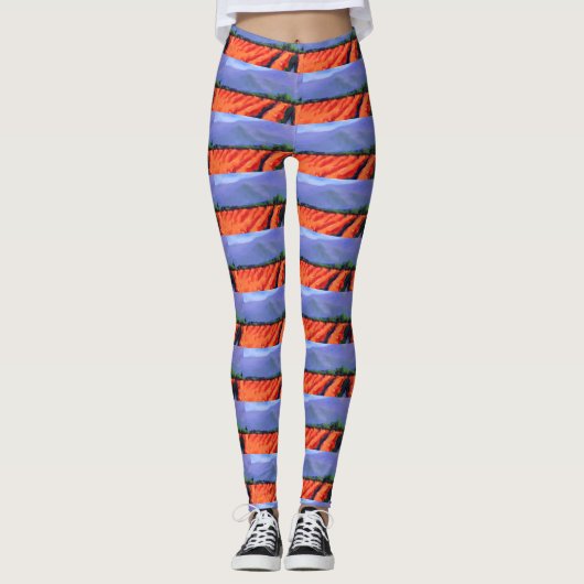Leggings bleus ciels soyeux (Devant)