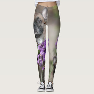 Leggings Bouledogue français avec abeille French Bulldog