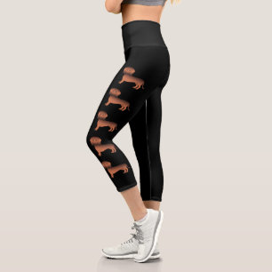 Leggings Capri Dachshunds à poil lisse rouge sable sur fond noir