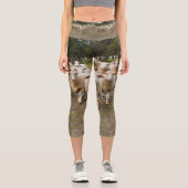 Leggings Capri Des moutons laineux viennent marching, de hautes j (Recto)