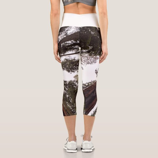 Leggings Capri forêt, arbre (Verso)