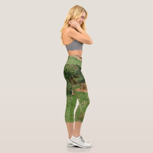 Leggings Capri Lion Hauteur de déchets élevés