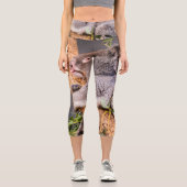 Leggings Capri Petit koala doux (Recto)