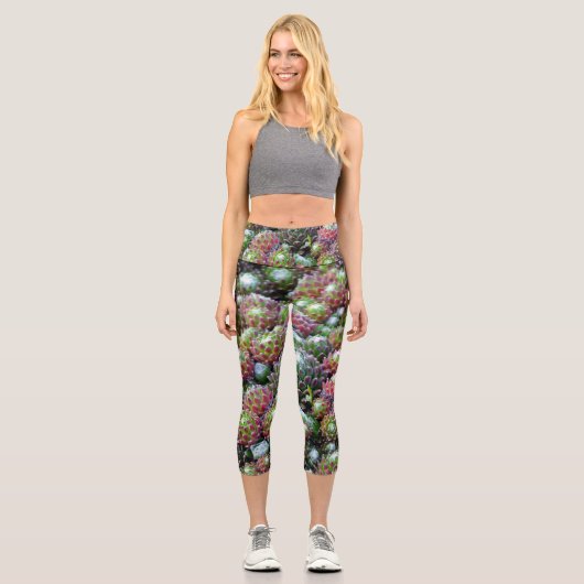 Leggings Capri Succulents colorés (Recto)