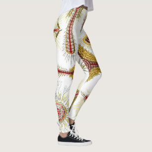 Leggings Chamomile sauvage par Ernst Haeckel, Nature Vintag