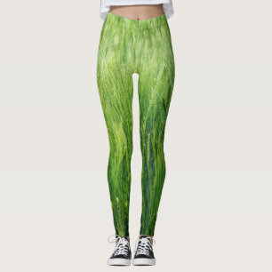 Leggings Champ d'orge verte, closeup de printemps.