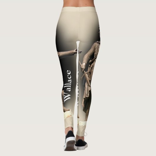 Leggings Clan Wallace écossais Par R. R. McIan (Dos)