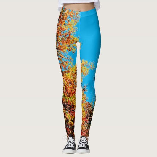 LEGGINGS COULEURS D'AUTOMNE (Devant)
