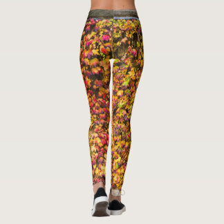 Leggings Couleurs d'automne dorées sur un mur de lierre