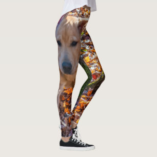 Leggings Courez comme un laboratoire ! Guêtres