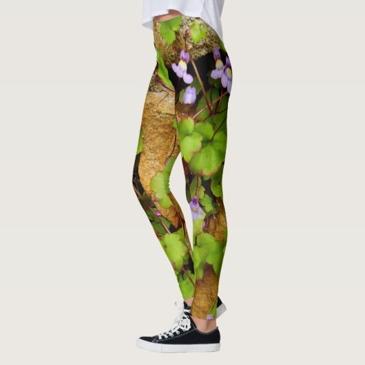 Leggings de Cymbalaria Muralis (Gauche)