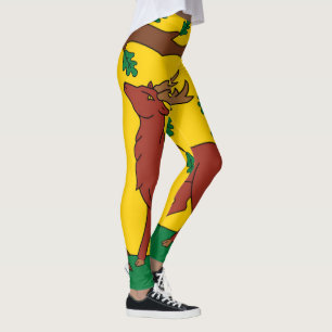 Leggings Drapeau du Berkshire (UK)