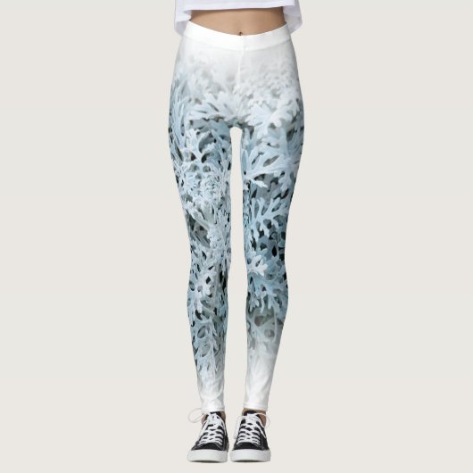 Leggings Dusty Miller / Silver Ragwort (Devant)