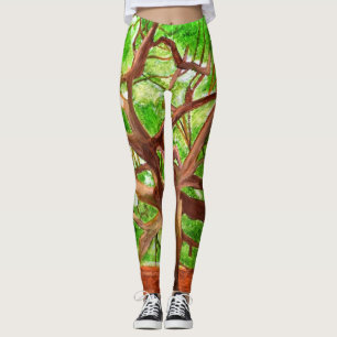 Leggings Élevage de chênes
