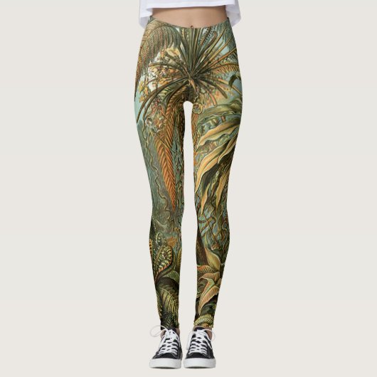 Leggings Ferns Palm Tree Antiquité Botanique Ferns Art (Devant)